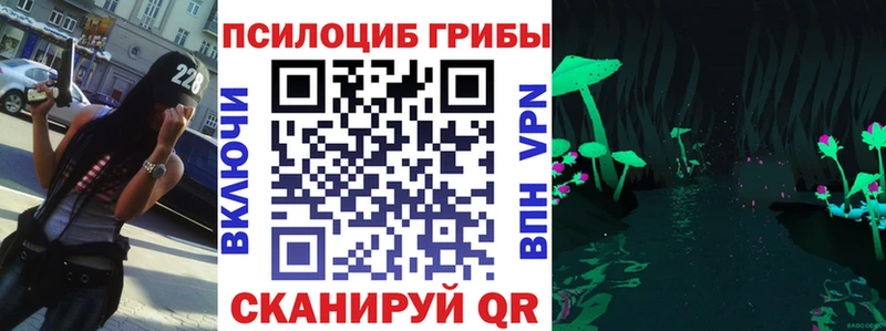 как найти   Невьянск  Галлюциногенные грибы ЛСД 